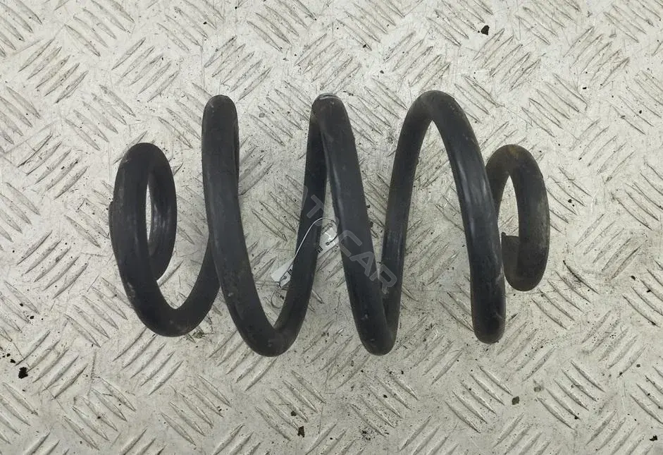 Пружины 55321110