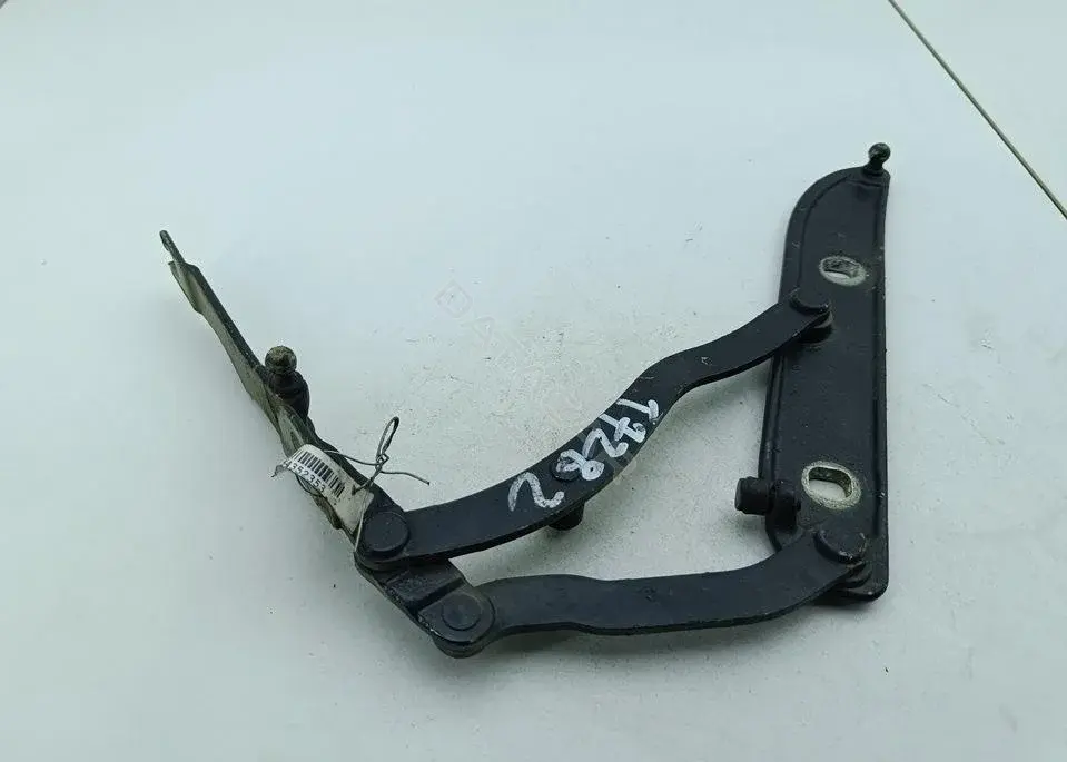 Петля крышки багажника 8220074
