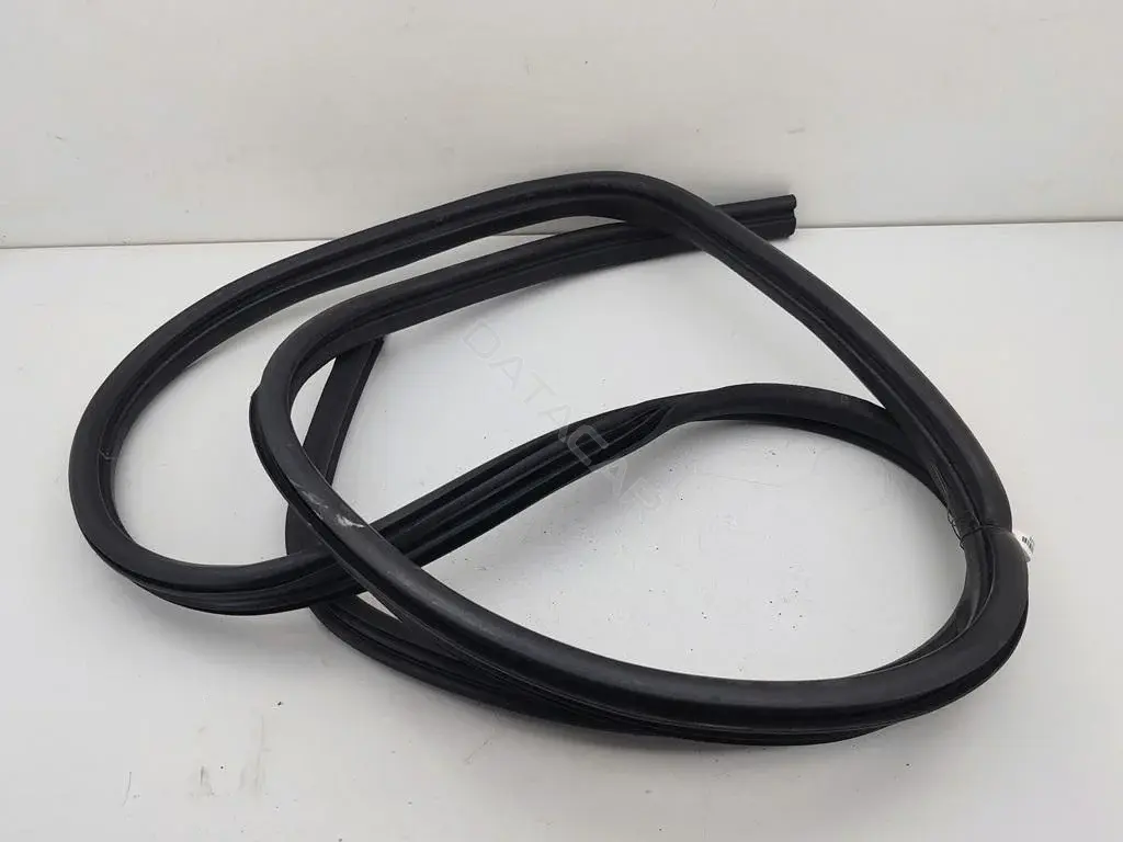 Уплотнитель двери 55431129