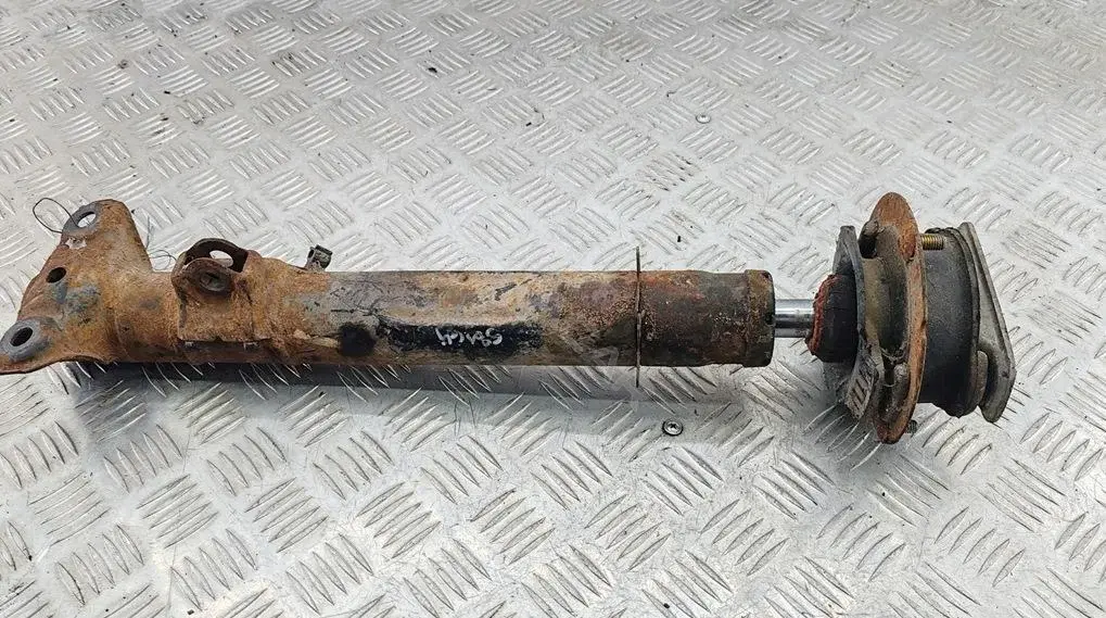 Амортизаторы 55217504