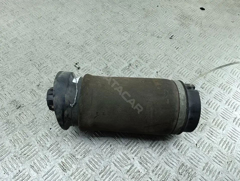 Пневмоподушка 53901540