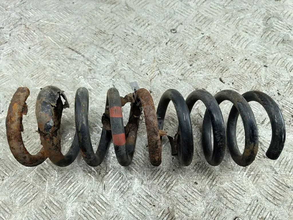 Пружины 54255105