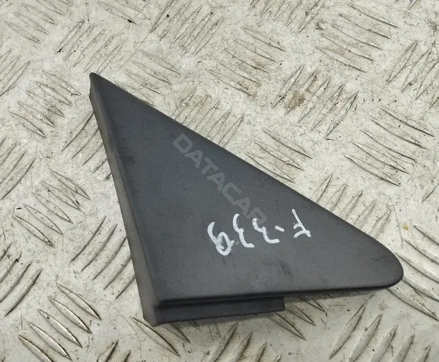 Заглушка зеркала 2N11N16003AJ