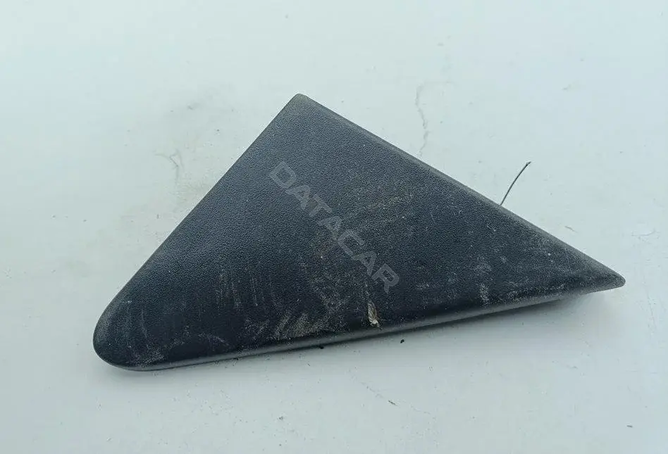 Заглушка зеркала 2N11N16003