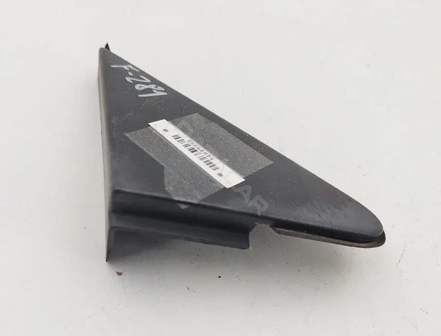 Заглушка зеркала 2N11N16003AH