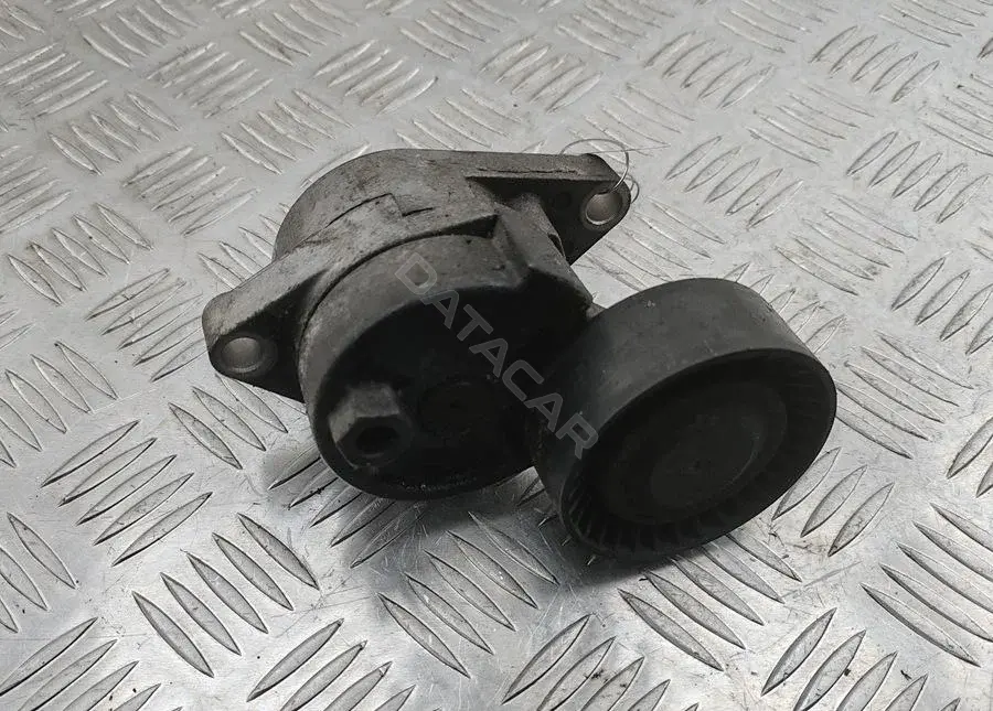 Натяжитель ремня генератора F226008