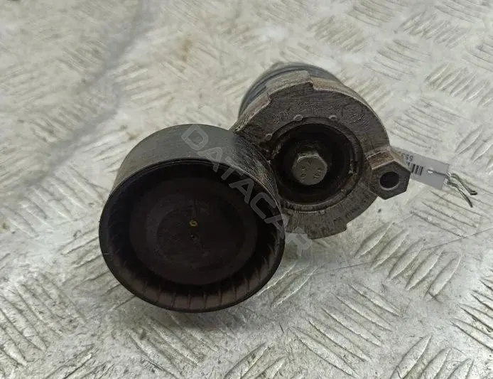 Натяжитель ремня генератора 117506193R