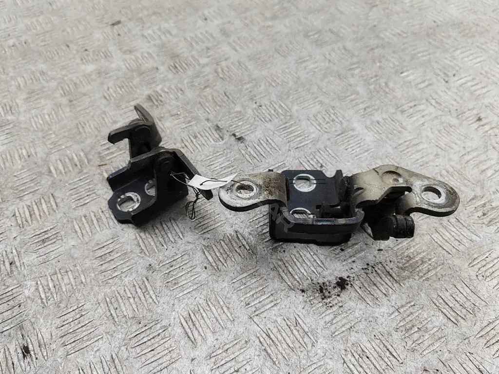Петля двери 55319056