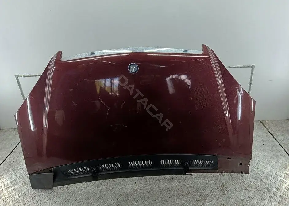 Капот 55050995