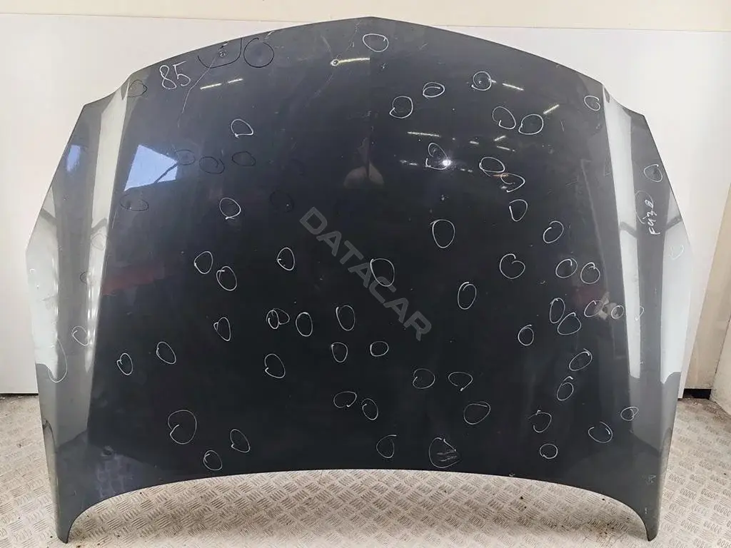 Капот 54454363