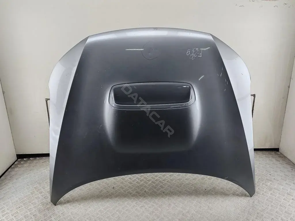 Капот 55088010