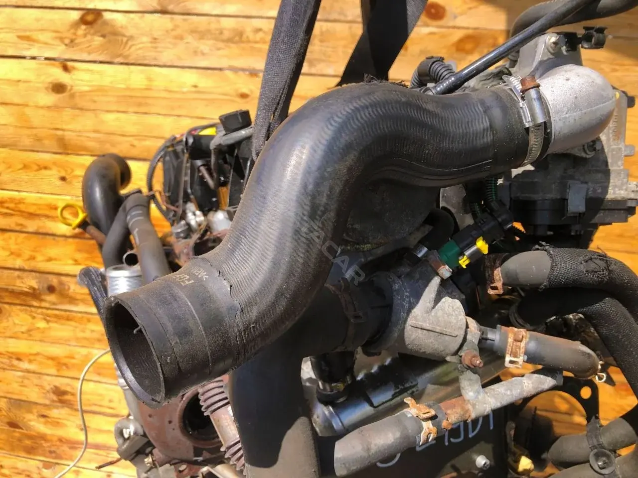 Патрубок интеркулера 55557037