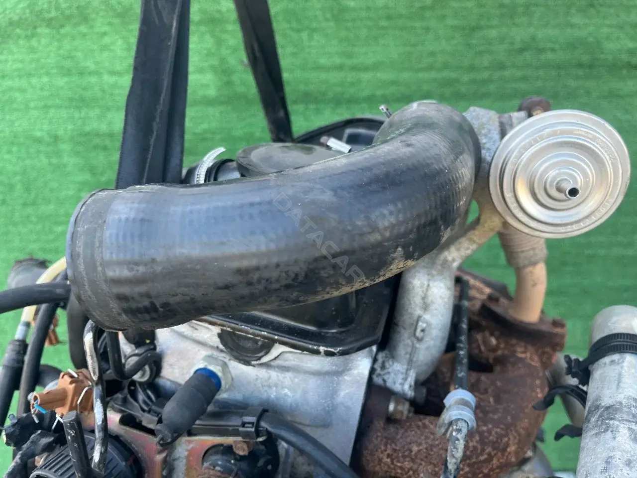 Патрубок интеркулера 95VW98614CA