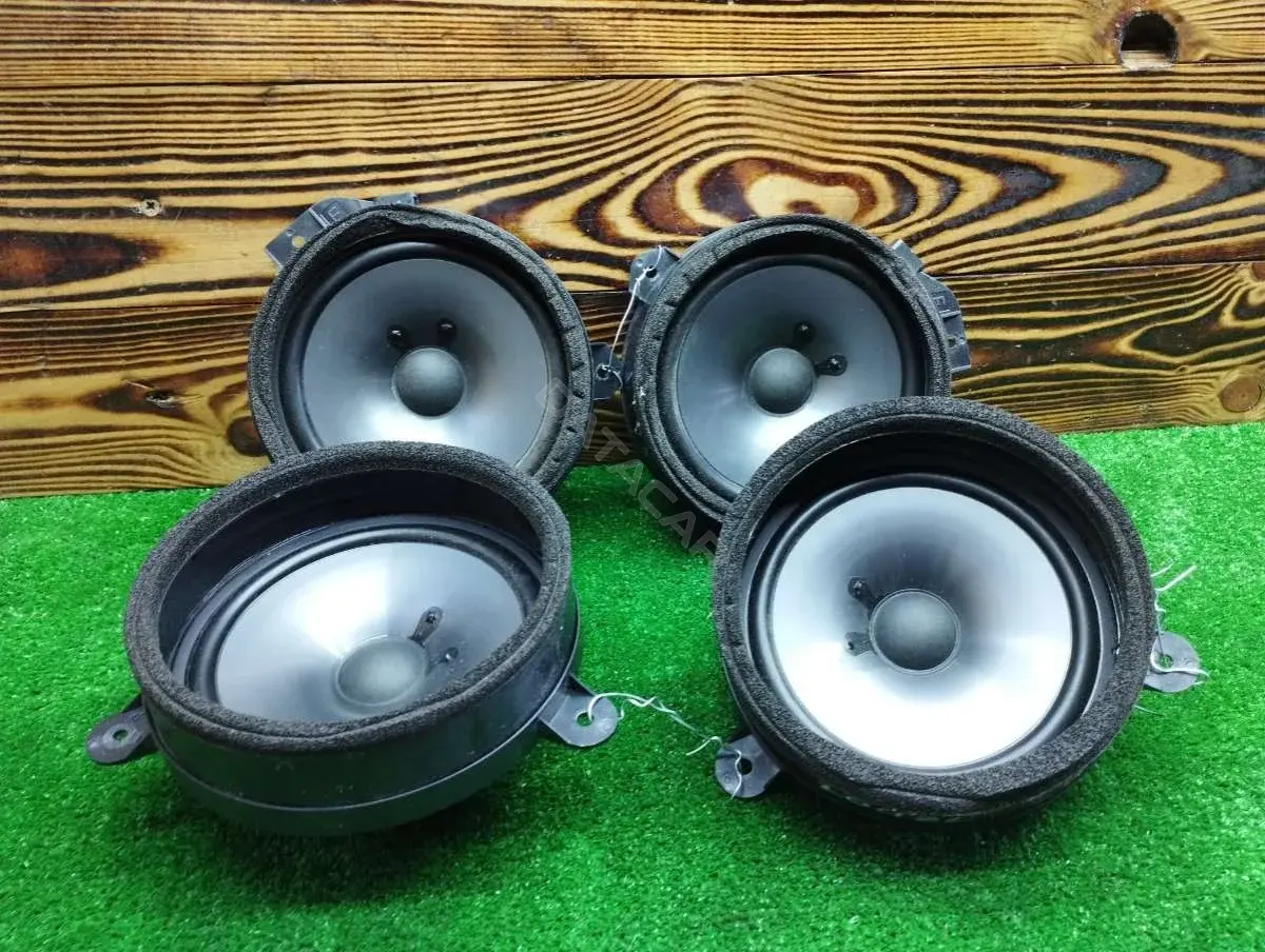 Динамик 86301FG100