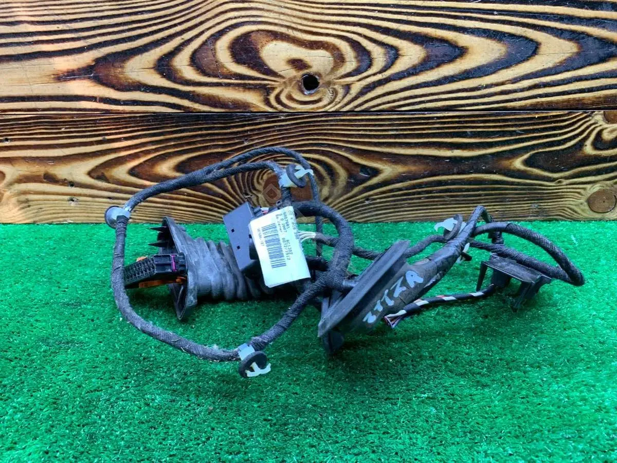 Проводка двери 3C04971694HL