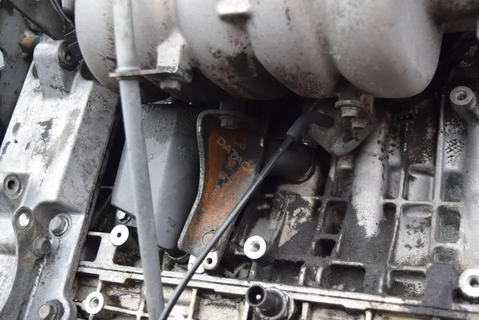 Клапан картерных газов T559-17-80-1