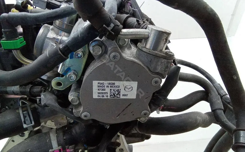 Вакуумный насос P54G-18G00