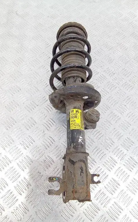 Амортизаторы 42504998