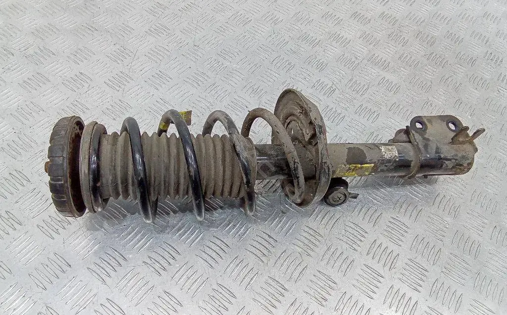 Амортизаторы 42504997