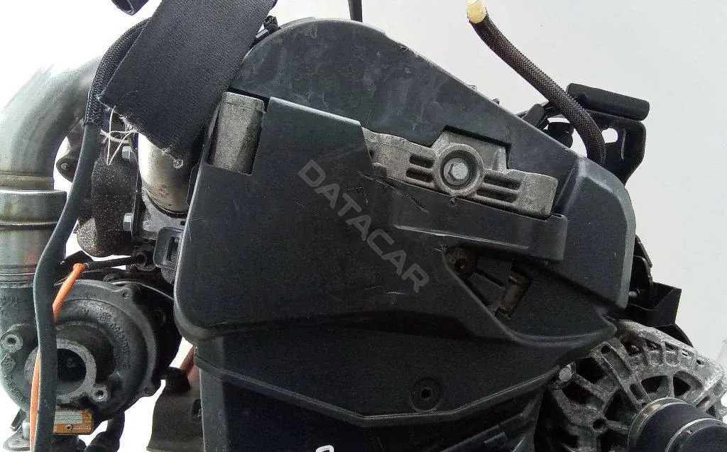 Защита (кожух) ремня ГРМ 4456535