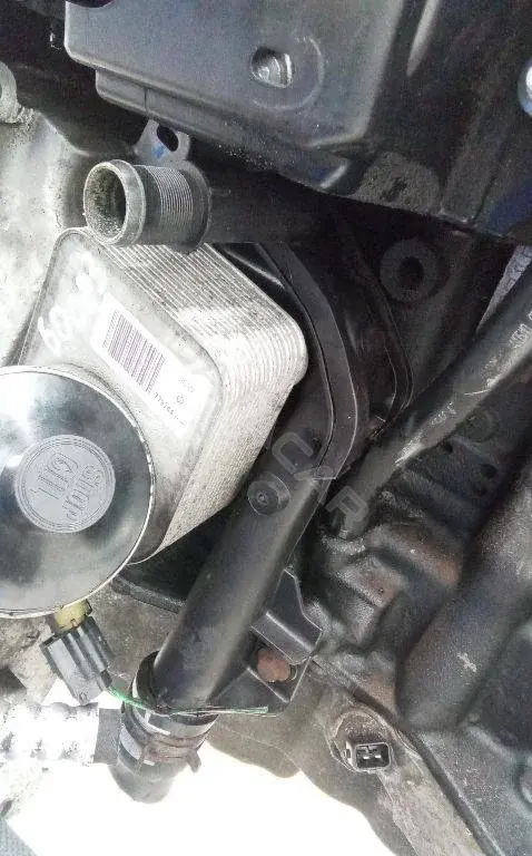 Патрубки системы охлаждения 8200552604