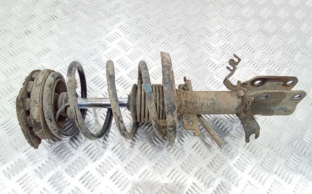 Амортизаторы 543020008R
