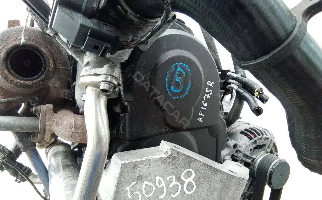 Защита (кожух) ремня ГРМ 4453873