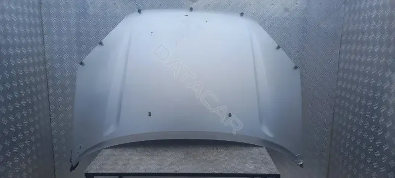 Капот 7321