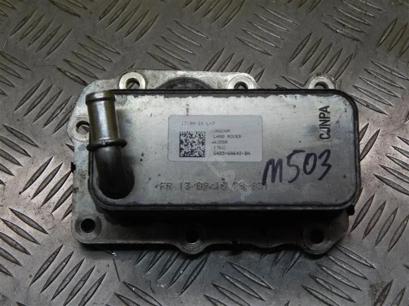 Масляный радиатор двигателя G4D36A642BA