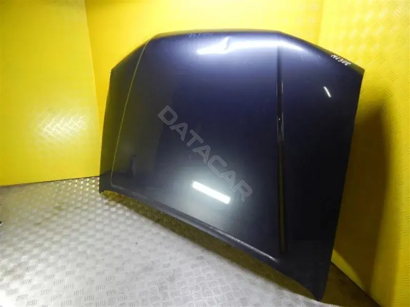 Капот 117073