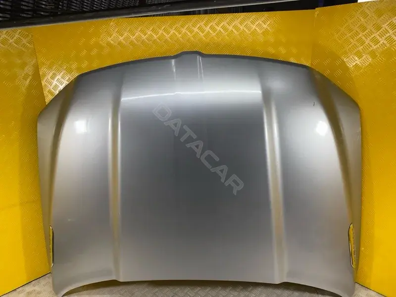 Капот 167356