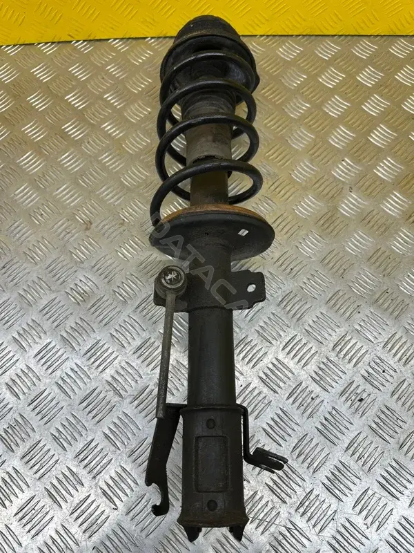 Амортизаторы 8200813791