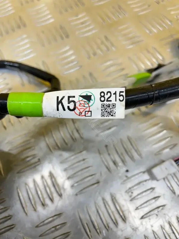 Проводка двери 8215160K50