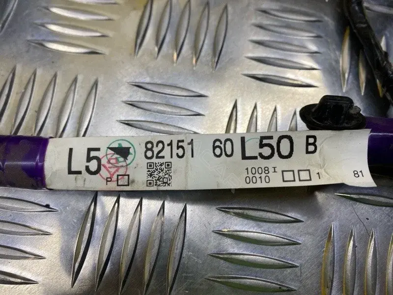 Проводка двери 8215160L50