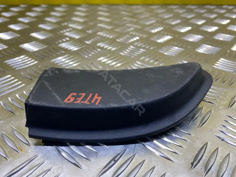 Крышка зеркала FT4B17D699AE