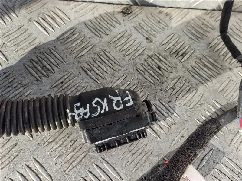 Проводка двери 916103U070