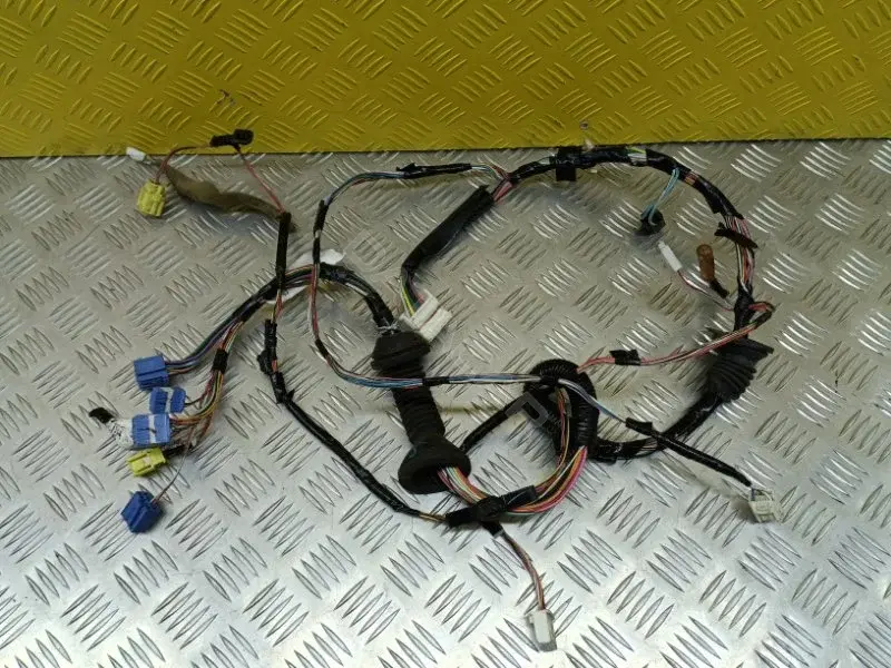 Проводка двери 821520C250