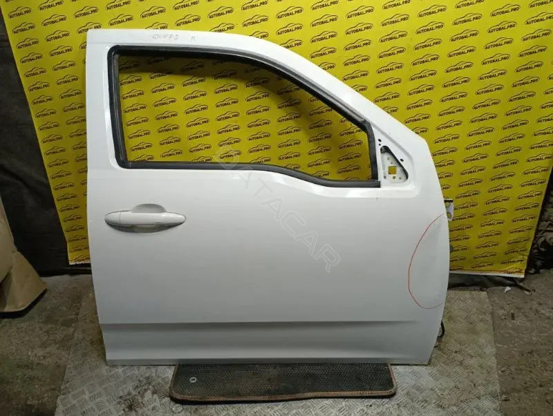 Дверь 6101200XP6PXA
