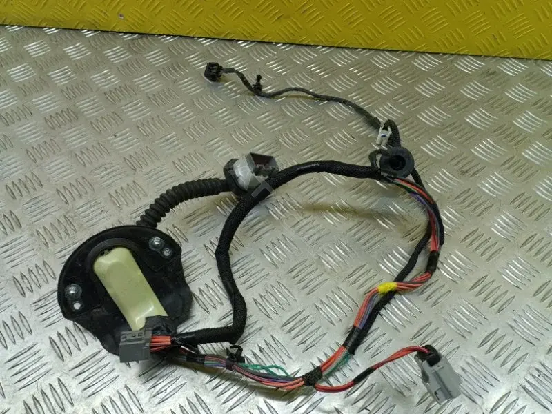 Проводка двери 68092366AE