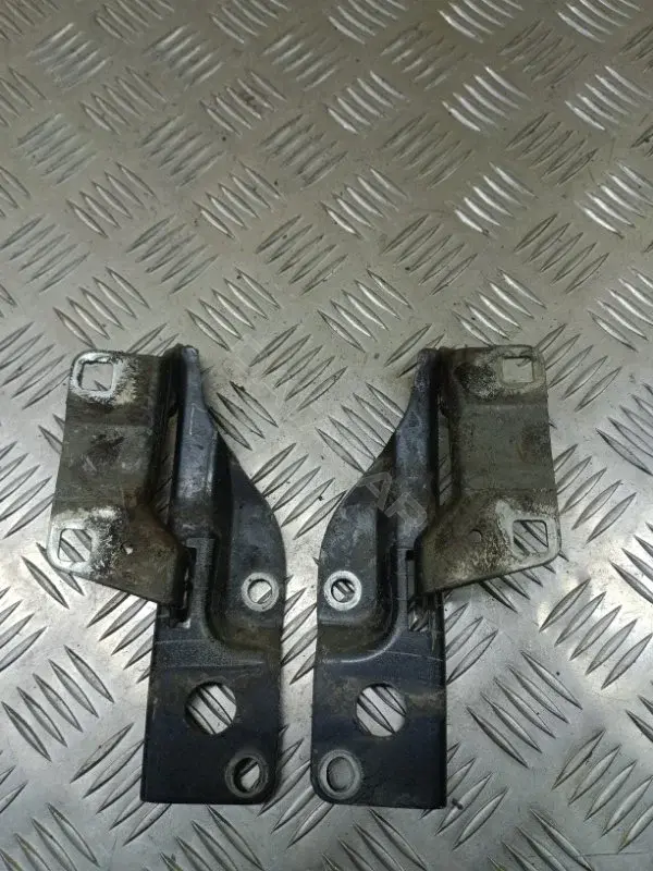 Петля капота 65400ZP00A