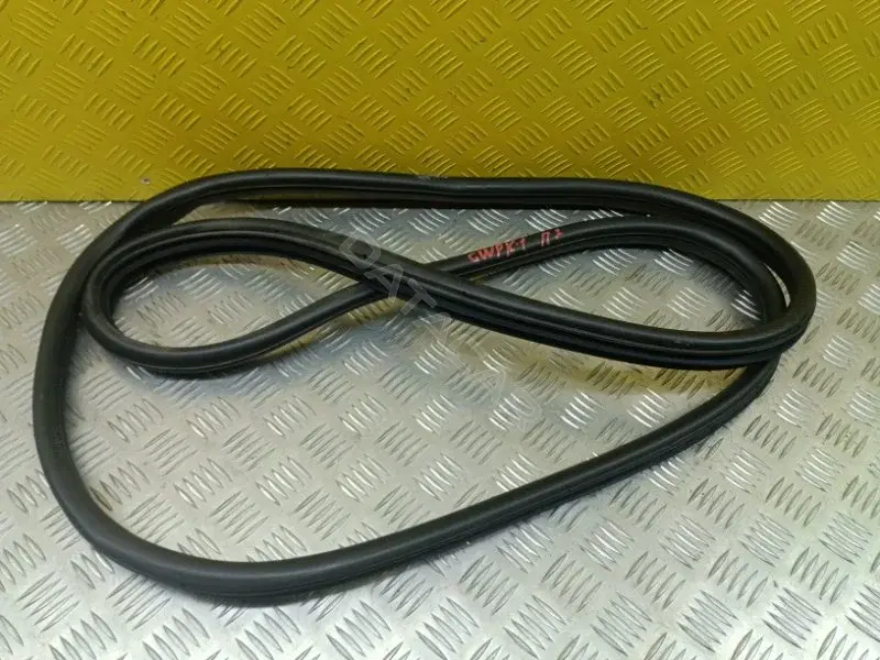 Уплотнитель двери 6207105XPS01A