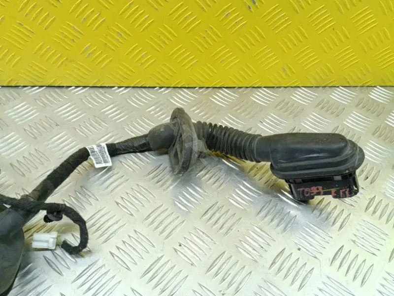 Проводка двери 68310303AC