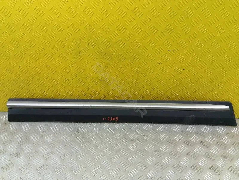 Накладка двери 6600221648