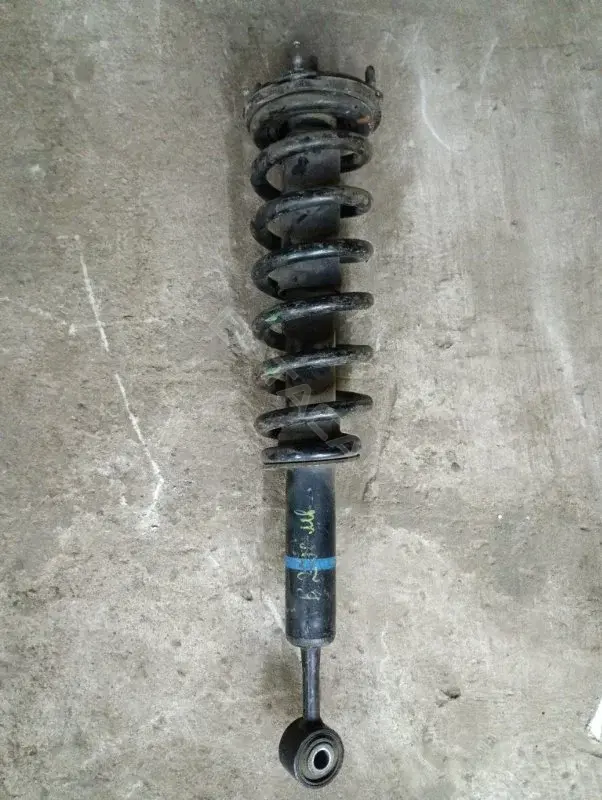 Амортизаторы 4851009R20