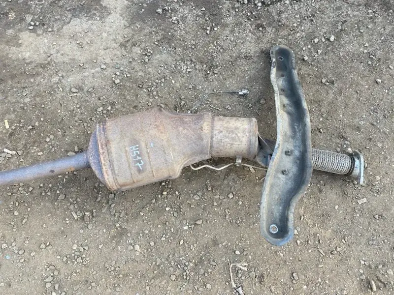 Глушитель выхлопных газов 201006966R