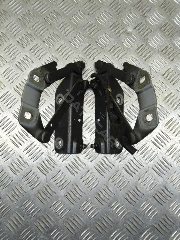 Петля капота LR001562