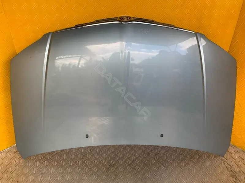 Капот 04589880AD
