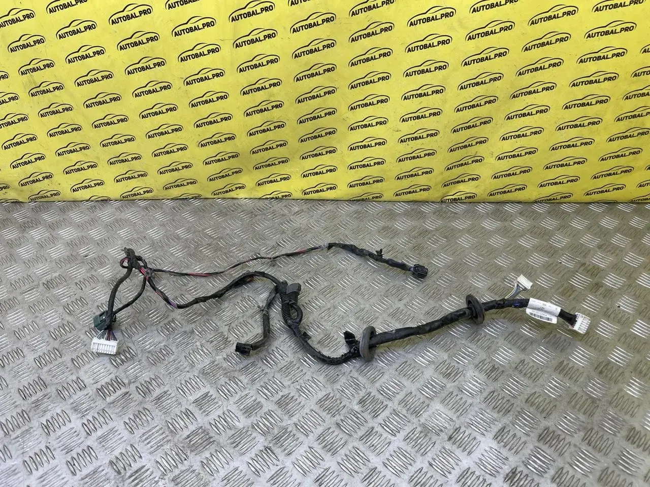 Проводка двери 24124LC61A