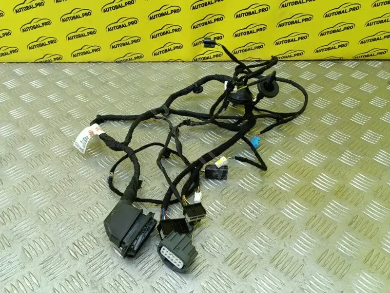 Проводка двери 6600124346
