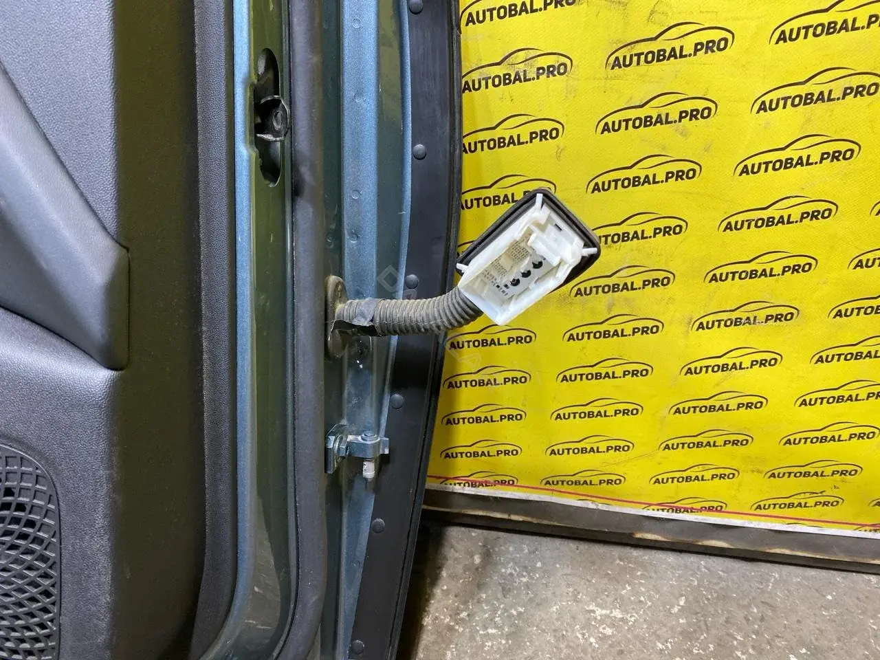 Проводка двери 806002678AA